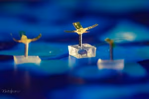 Robot có thể chuyển động dưới tác động của ánh sáng và từ tính. Ảnh: Tue