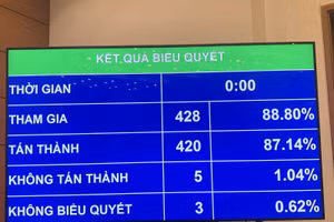 Quốc hội thông qua Nghị quyết về tổ chức chính quyền đô thị tại TPHCM
