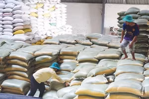 Chính phủ xuất cấp hơn 3.500 tấn gạo hỗ trợ tỉnh Quảng Bình, Quảng Ngãi. Ảnh minh hoạ: Đức Thành
