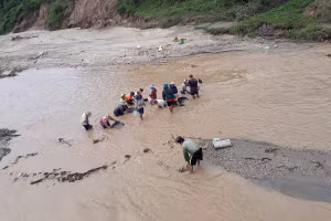 Hàng chục người dân bất chấp nguy hiểm xuống sông đãi vàng.
