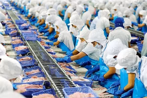 Sơ chế hàng thủy sản xuất khẩu
