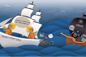 Các protein WUSCHEL chống lại sự xâm nhập của virus bằng cách ức chế dây chuyền lắp ráp protein của tế bào gốc thực vật. 