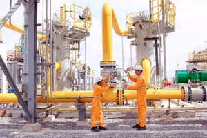 PV GAS đứng thứ 7 trong Bảng xếp hạng Profit500 năm 2020