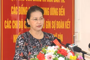 Chủ tịch Quốc hội Nguyễn Thị Kim Ngân trả lời cử tri 
