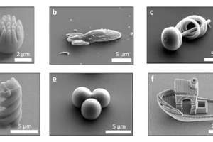 Những mẫu thiết kế bằng máy in 3D siêu nhỏ của nhóm nghiên cứu của Đại học Leiden (Hà Lan).