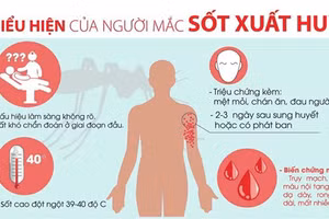 Sốt xuất huyết gia tăng ở trẻ: Tuyệt đối không tự chữa trị 