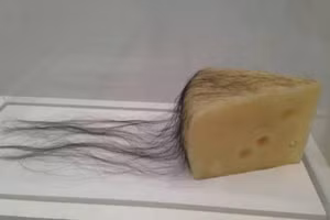 Miếng pho-mát có râu? Chuyện lạ không thể tin nổi này lại xảy ra trên Trái đất sao? Thực chất nó chỉ là sản phẩm của một bàn tay khéo léo và khối óc hài hước nào đó thôi.