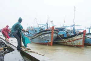 Người dân neo đậu tàu thuyền, chằng chống nhà cửa, gia cố bảo vệ công trình chuẩn bị ứng phó với bão.