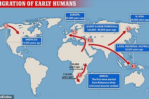 Một bản đồ hiển thị các niên đại tương đối mà con người đặt chân đến các châu lục khác nhau, bao gồm cả châu Âu cách đây 45.000 năm. Tất cả nhân loại bắt đầu ở châu Phi và di chuyển đến Levant khoảng 120.000 năm trước.