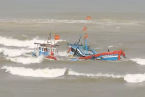 Hình ảnh minh hoạ.