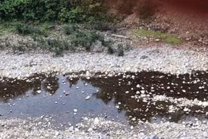 Chiếc xe bị chết máy rồi lao xuống vực sâu khoảng 60m khiến tài xế tử vong.