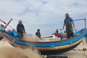 Do sản lượng đánh bắt được ít, giá bán giảm sâu và chi phí tăng cao nên ngư dân không mặn mà với việc vươn khơi.