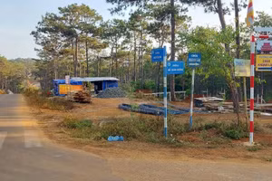 Con đường nơi những lô biệt thự được giao, cấp giấy chứng nhận quyền sử dụng đất trái luật.