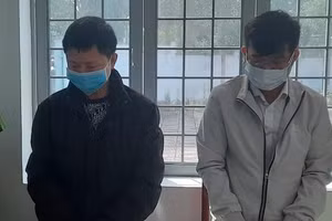 Ký khống hợp đồng kinh tế 2 giám đốc bị khởi tố, bắt tạm giam.