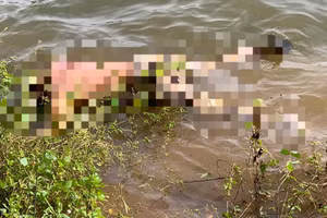 Phát hiện thi thể 2 mẹ con ở Biển Hồ Gia Lai.