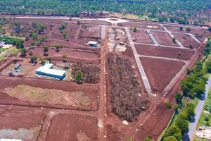 UBND tỉnh Gia Lai đã chỉ đạo các đơn vị liên quan chấm dứt việc di thực cây thông ở khu phức hợp Đăk Đoa.