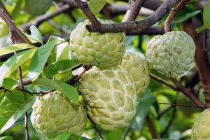 Ảnh minh họa/INT.