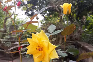 Vợ chồng có 6 biểu hiện này, sớm muộn cũng ly hôn