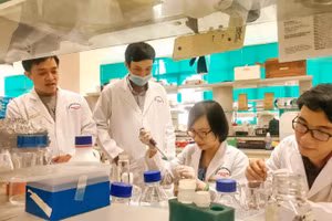 TS Trịnh Hoàng Kim Tú cùng các đồng nghiệp thực hiện đề tài nghiên cứu tại phòng thí nghiệm. Ảnh: NVCC.