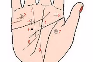 Đường chỉ tay "vàng" báo trước vận đời giàu sang