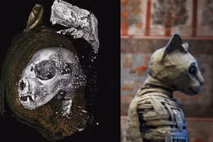 Xác ướp mang hình dáng nữ thần Bastet thanh tú thực ra là một con mèo đã trải qua cái chết vô cùng tàn khốc - ảnh: NATURE.