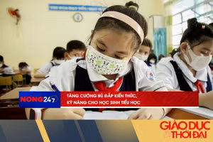 NÓNG 247 | Tăng cường bù đắp kiến thức, kỹ năng cho học sinh tiểu học
