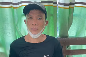 Đối tượng Đinh Ngọc Lê Hoàng Anh.