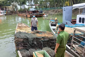 Các phương tiện được đưa về bến Đồng Trường để tiếp tục điều tra xử lý theo quy định.