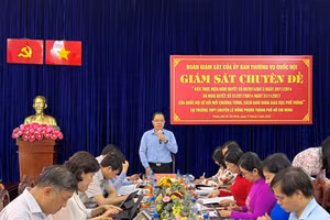 Ông Đinh Công Sỹ, Phó chủ nhiệm Ủy ban thường vụ Quốc hội phát biểu tại buổi giám sát.