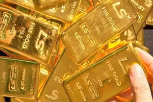 Giá vàng hôm nay tiếp tục xuống dốc