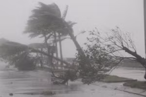 Thời tiết hôm nay bão số 1 gần bờ, Bắc Bộ có mưa to