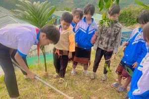 Học sinh Trường Phổ thông dân tộc bán trú Tiểu học - THCS Trà Nam tham gia hoạt động Tết trồng cây. 