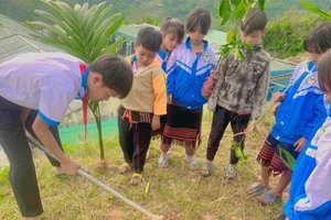 Học sinh Trường Phổ thông dân tộc bán trú Tiểu học - THCS Trà Nam tham gia hoạt động Tết trồng cây. 