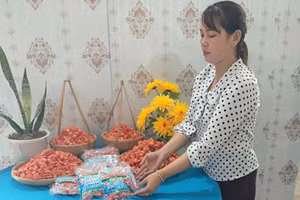 Chị Lê Thị Kim Thoa bên sản phẩm tôm khô.