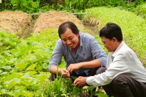 Anh Đạt (trái) đang chăm sóc, kiểm tra rau được trồng theo kiểu truyền thống.