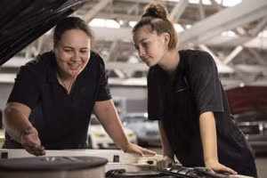 Đào tạo nghề là lĩnh vực giáo dục phổ biến tại New Zealand.