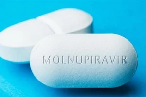 Molnupiravir đã được đưa vào chương trình thí điểm điều trị có kiểm soát các trường hợp mắc Covid-19 tại nhà và cộng đồng từ cuối tháng 8.