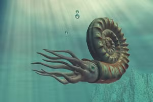 Những sinh vật Cúc đá có thể đã phải đối mặt với áp lực tiến hóa.