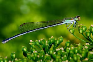 Ảnh minh họa/INT.