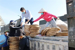 Lô hàng từ cây bèo tây đầu tiên được thu mua, xuất khẩu đi nước ngoài.