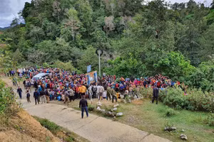 Khu rừng tái sinh nơi xảy ra vụ án.