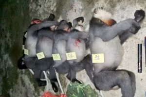 Ảnh minh họa/INT