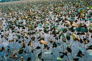 Ảnh minh họa/INT.