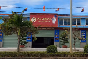 Trụ sở Công ty cổ phần Đầu tư Sâm Việt Nam tại TP Kon Tum.