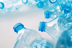 DCHP khiến cholesterol cao bằng cách nhắm mục tiêu tín hiệu PXR trong ruột.