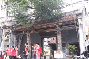 Di sản trong đô thị dễ bị xâm hại hoặc làm tổn thương.