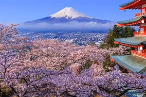 Ngơ ngẩn trước loài hoa biểu tượng của sự tái sinh