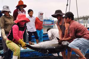 Ảnh minh họa/INT