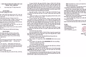 Quyết định xử phạt của UBND tỉnh Hải Dương.