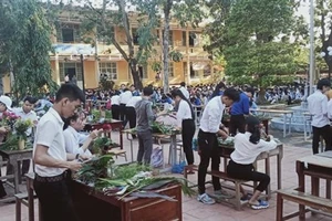 Học sinh Trường THPT Đỗ Đăng Tuyển tham gia hoạt động ngoại khóa. 